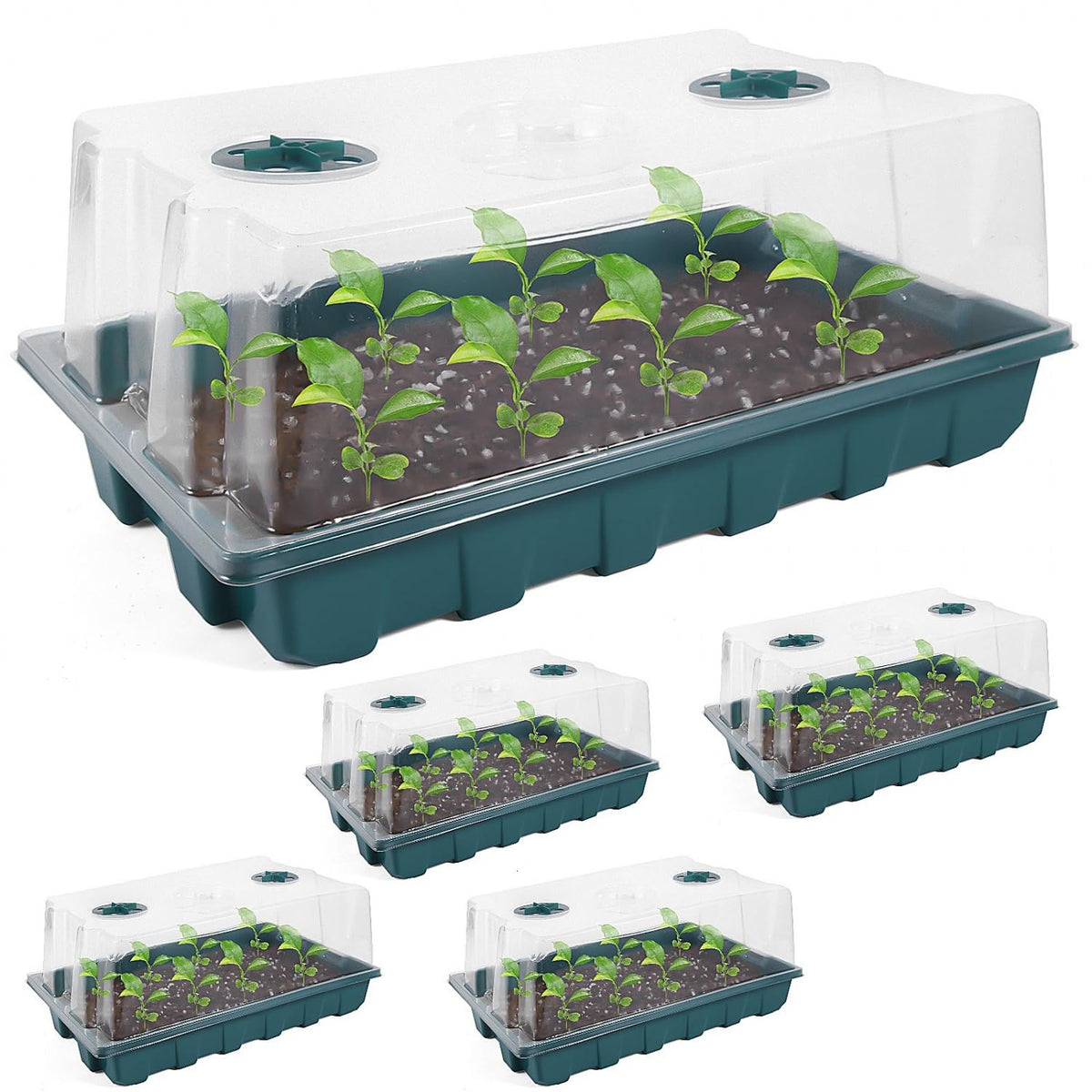 YoleShy 5 Packs Seed Starter Tray with Dome Reusable Plastic Plant Growing Trays with Humidity Domes Lids Thickened Sturdy for Seed Starting Germination Growing Seedling Propagation,14.5"x9"