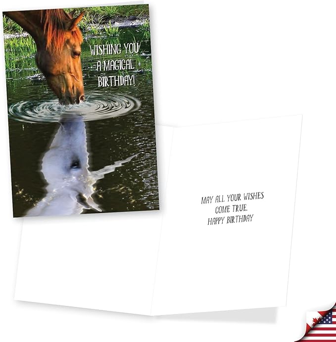 NobleWorks Assortment Pack of 3 Hysterical Birthday Greeting Cards with Envelopes for Men and Women (3 Designs, 1 Each) Horsing Around VC10014BDG-C1x3