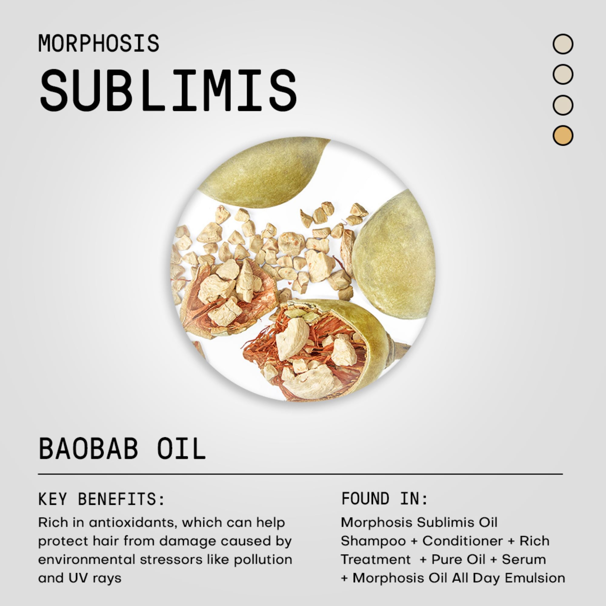 FRAMESI Morphosis Sublimis Hair Oil Serum, Hydrating Hair Treatment