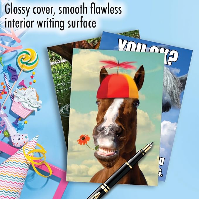 NobleWorks Assortment Pack of 3 Hysterical Birthday Greeting Cards with Envelopes for Men and Women (3 Designs, 1 Each) Horsing Around VC10014BDG-C1x3