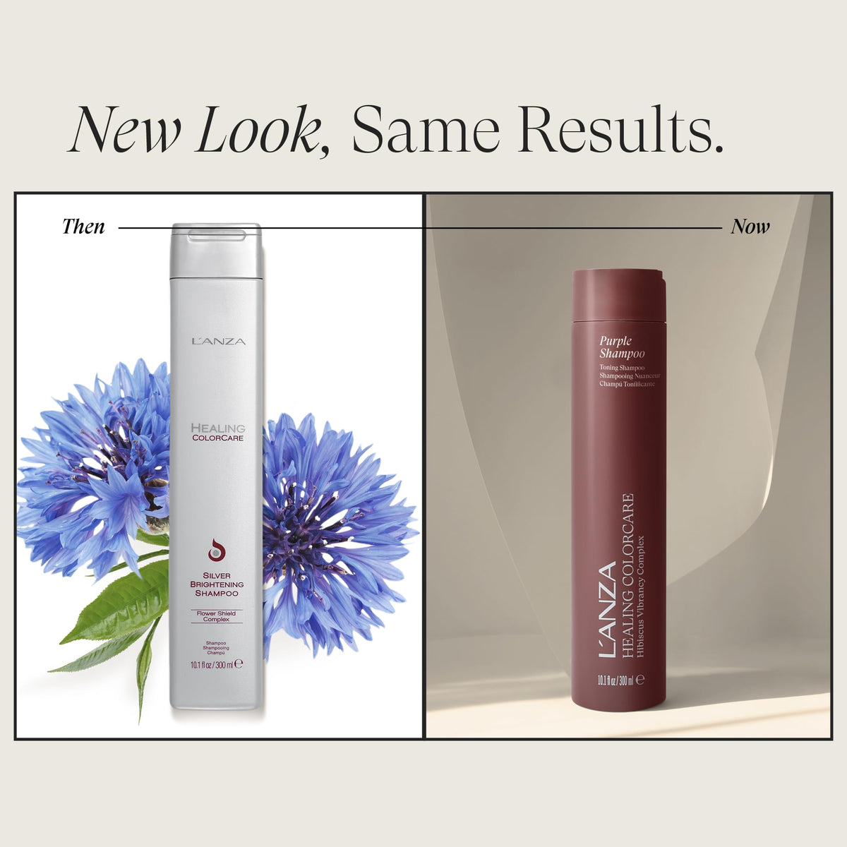 L'ANZA Healing ColorCare Silver Brightening Shampoo, for Silver, Gray, White, Blonde & Highlighted Hair, Boosts Shine and Brightness while Healing, Controls Unwanted Warm Tones (10.1 Fl Oz)