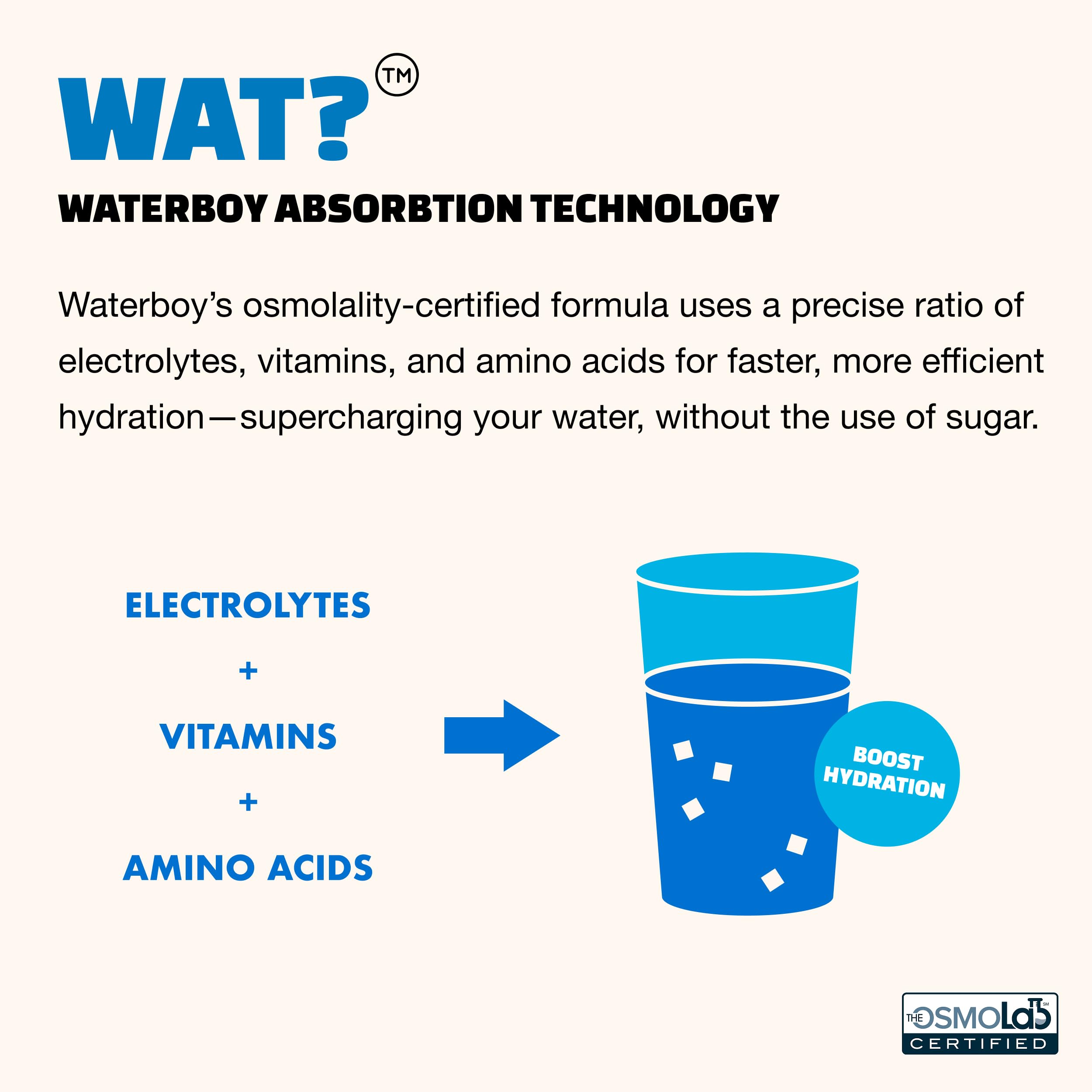 Waterboy - Hydration Recovery, Sample Pack, Sugar Free Electrolytes Powder Drink Mix - 12ct Hydration Packets