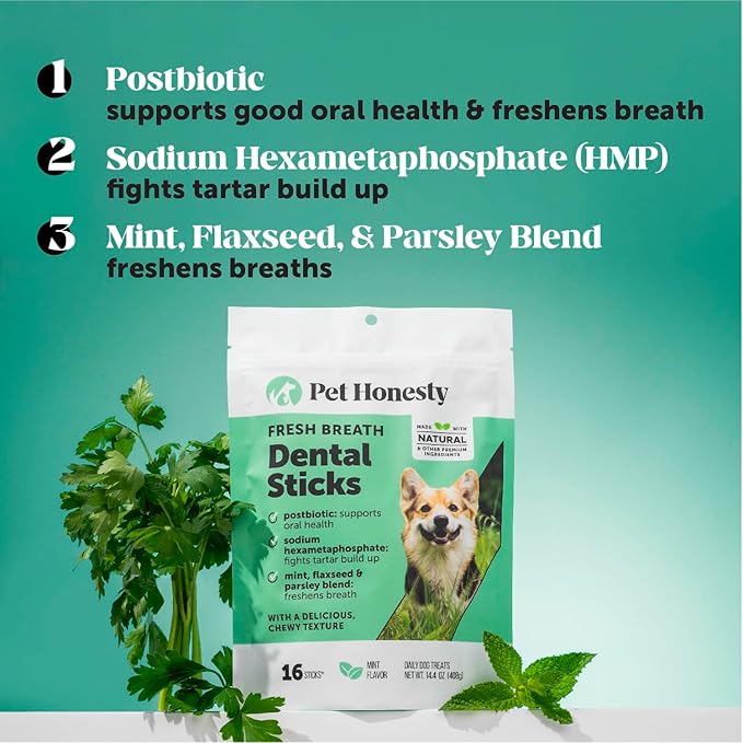 Dental Health Fresh Sticks – Dog Dental Treats & Chews for Oral Care – Dental Sticks for Dogs to Freshen Breath, Remove Tartar & Plaque, Support Gum Health & Bright Teeth Dog Oral Supplement – 16 Ct