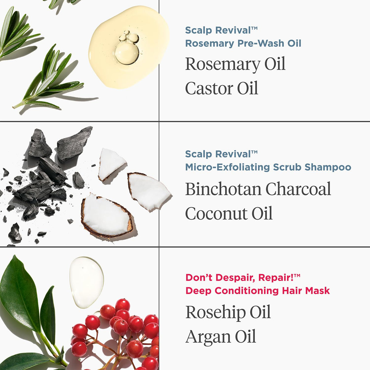 Briogeo Healthy Hair Delights Holiday Kit | Clean Hair Repair Gift Set for All Hair Types | Deep Conditioning Mask, Scalp Scrub & Rosemary Pre-Wash Oil | Vegan & Cruelty-Free