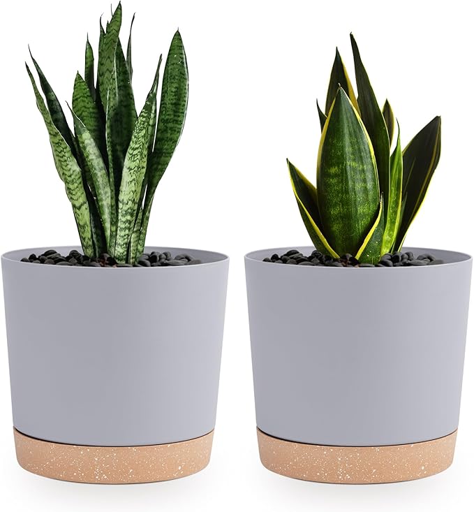 QCQHDU 6.5 inch Plant Pot, 2 Pack Planters for Indoor Plants with Drainage Holes & Saucer, Outdoor Flower Pots Home Garden Modern Decor