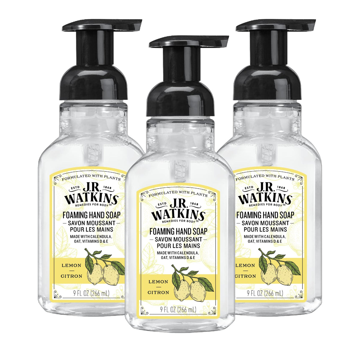 J.R. Watkins Foaming Hand Soap with Pump Dispenser, Moisturizing Foam Hand Wash, All Natural & Foaming Hand Soap with Pump Dispenser, Moisturizing Foam Hand Wash, All Natural