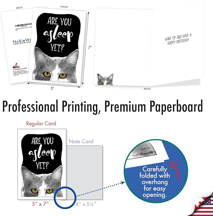 NobleWorks, Assortment Pack of 3 Funny Birthday Greeting Cards with Envelopes (3 Designs, 1 Each) Cat Antics Celebration VC10793BDG-C1x3