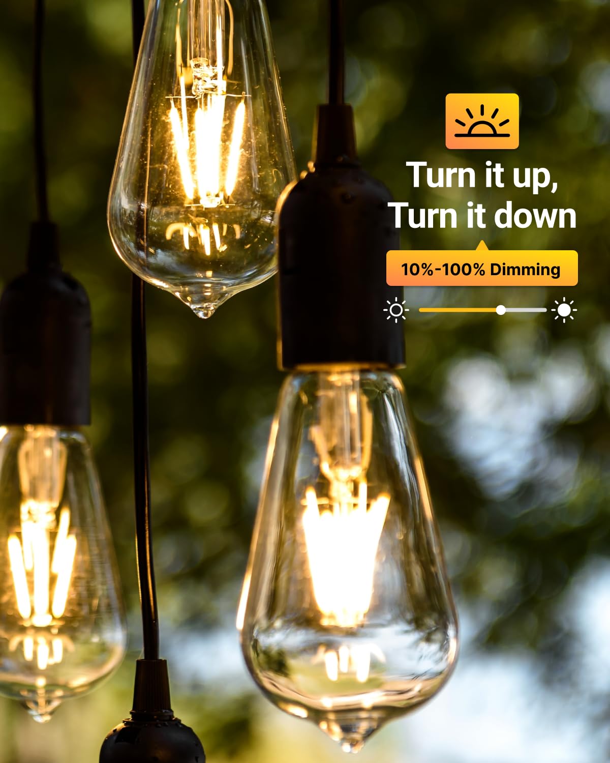 12 Pack Dusk to Dawn LED Outdoor Lights Bulb, ST64 Edison Style Automatic Light Sensing Bulbs, 800 LM, 7W (60W Equivalent), ST19, 3000K Warm White, E26 Base UL