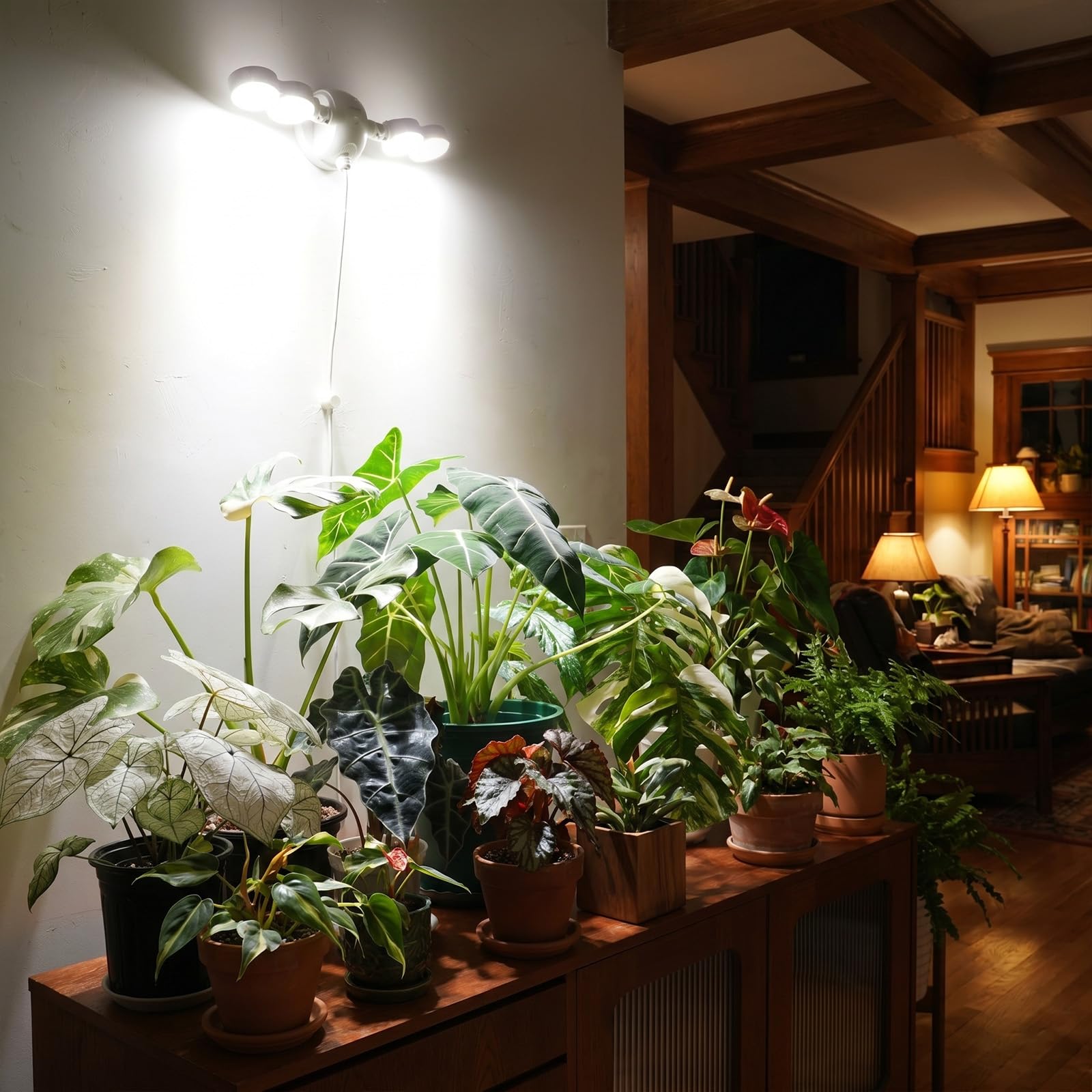 SANSI Wall Mounted Grow Light, 30W Dual Head Full Spectrum with Remote