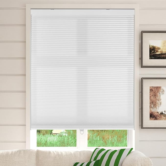 CALYX INTERIORS Cellular Honeycomb Shade, Light Filtering, Cordless, 3/8" Single Cell, 34" W x 60" H, White