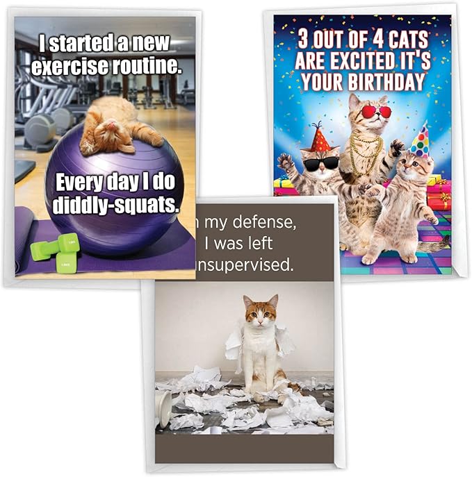 NobleWorks Assorted 3 Pack of Humorous Cool Cats Birthday Greeting Cards with 5 x 7 Inch Envelopes (3 Designs, 1 Each) Funny Felines VC2809BDG-C1x3