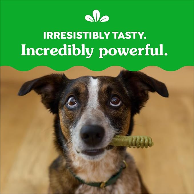 Greenies Original Regular Dental Dog Treats, 54 oz. Pack (54 Treats)