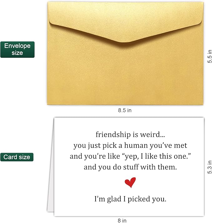 Funny Friendship Card for Women Men, Humorous Best Friend Birthday Card & Gift for Him Her, Snarky Birthday Card & Gift for Friend Bestie BFF, Friendship is Weird... I'm Glad I Picked You