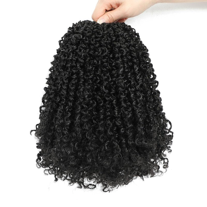 Aksice 12 Inch Yanky Twist Crochet Hair Pre-looped 8 Packs Mini Passion Twist Crochet Hair with Curly Ends Synthetic Crochet Braids Plus Yanky Twist for Black Women (12 Inch, 8 Packs,1B#)