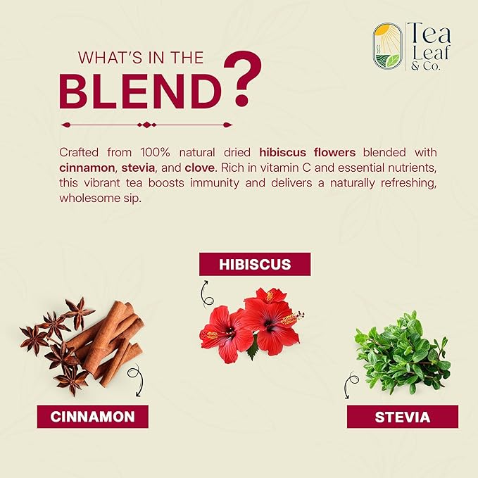 Tealeaf & Co. Sweet Hibiscus Cinnamon Green Tea with Hibiscus, Cinnamon, Stevia & Clove - Green Tea Bags with Fresh Herbs and Spices (Low Caffeine) - 100 Teabags