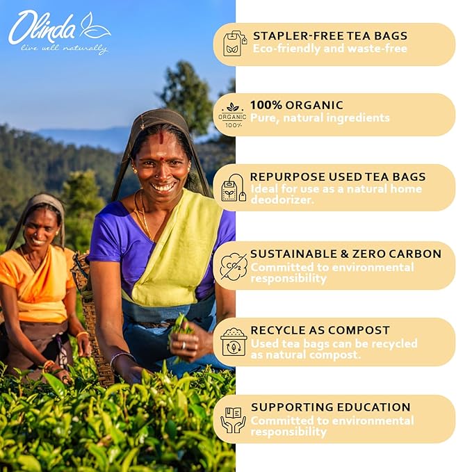 Olinda Turmeric Herbal Tea Ginger Ginseng Tea Organic Tea Bags Caffeine Free Antioxidant Rich Tea Bags 100% Pure Herbs Brew Hot 28 Tea Bags Pack of 1