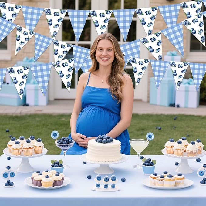 Jollyboom Blueberry Baby Shower Decorations, 3pcs Pennant Banner Triangle Garland Flags Paper Pre-Strung 8.3 x 5.9 inches for Baby Shower Birthday Party Blueberry Fruit Indoor Outdoor Party
