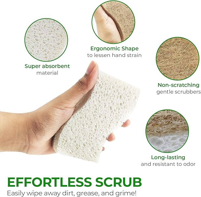 Biodegradable Natural Kitchen Sponge - Compostable Cellulose and Coconut Walnut Scrubber Sponge (6 Pack)