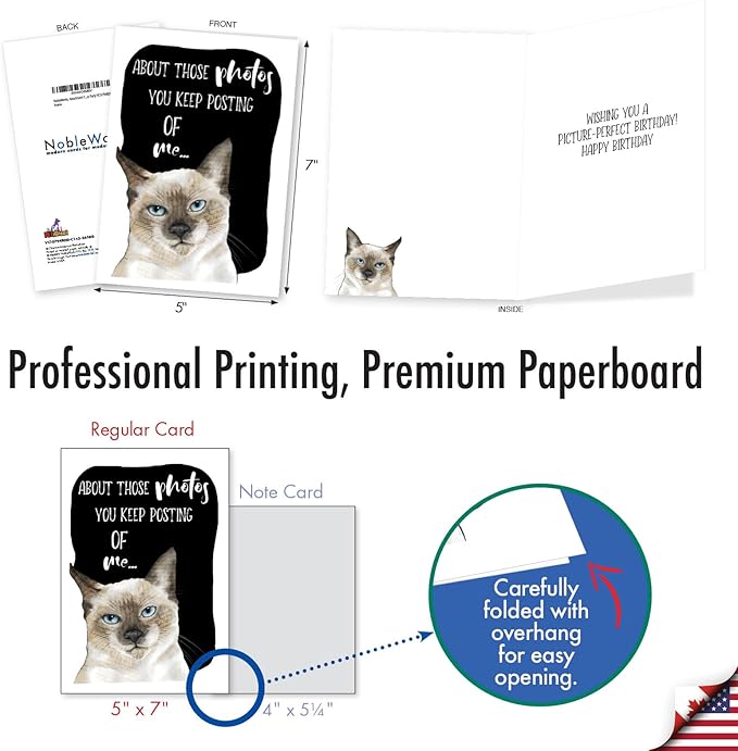 NobleWorks, Assortment Pack of 3 Funny Birthday Greeting Cards with Envelopes (3 Designs, 1 Each) Cat Antics Party VC10794BDG-C1x3