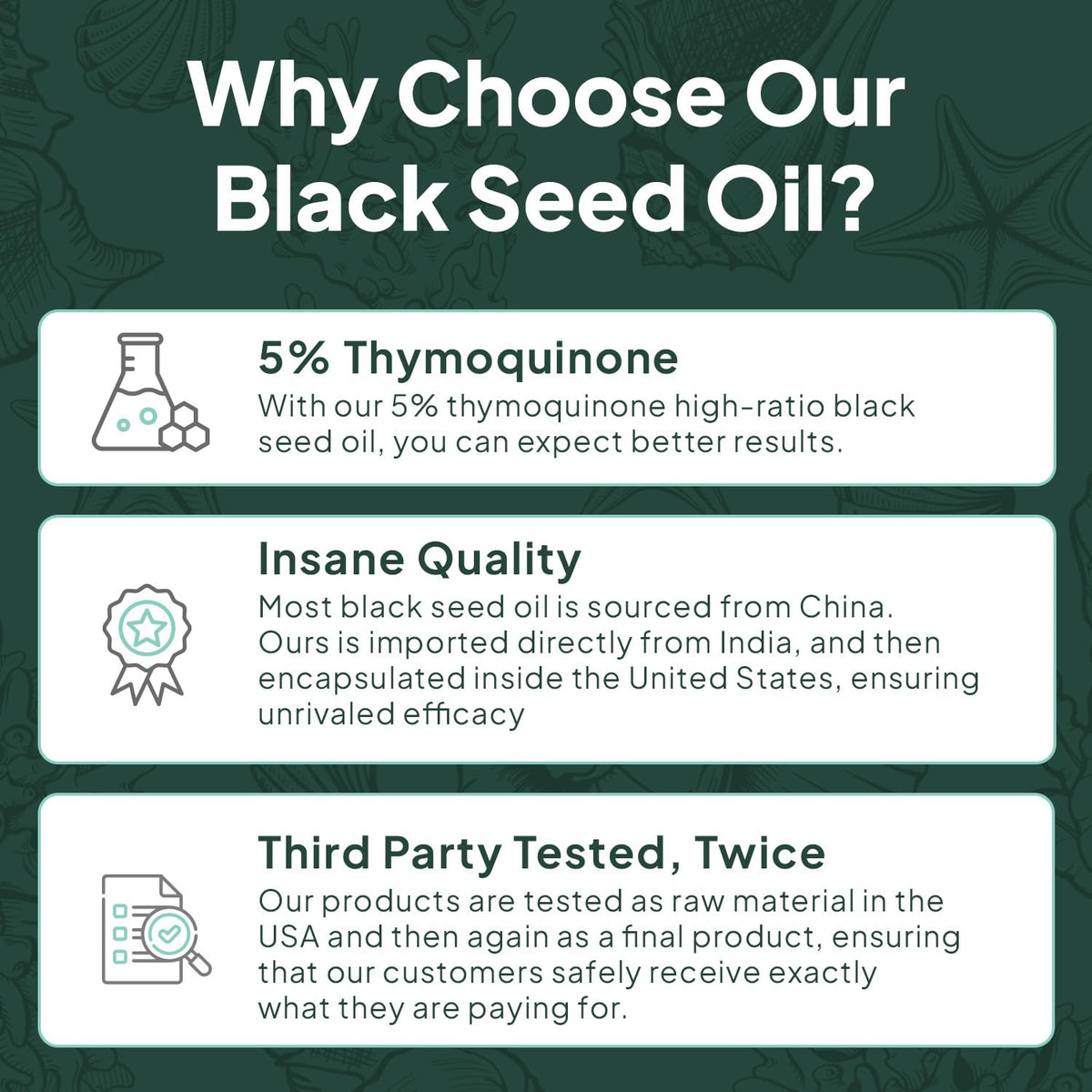 Organics Ocean Better Black Seed Oil Cold Pressed - Pure Nigella Sativa Oil for Immune Support - 5% Thymoquinone - Support Memory, Vitality, and Cellular Health - 6 Pack Bulk Supply