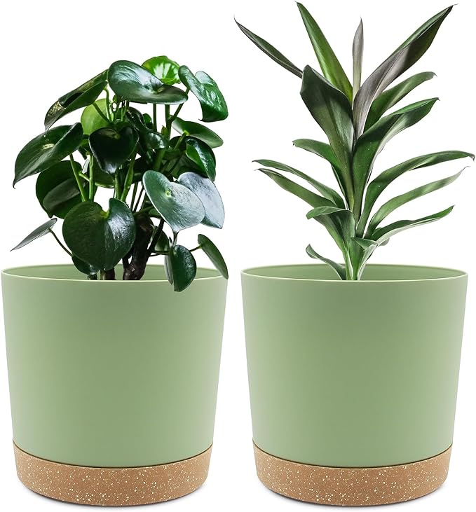 QCQHDU 8 inch Plant Pot, 2 Pack Planters for Indoor Plants with Drainage Holes & Saucer, Outdoor Flower Pots Home Garden Modern Decor