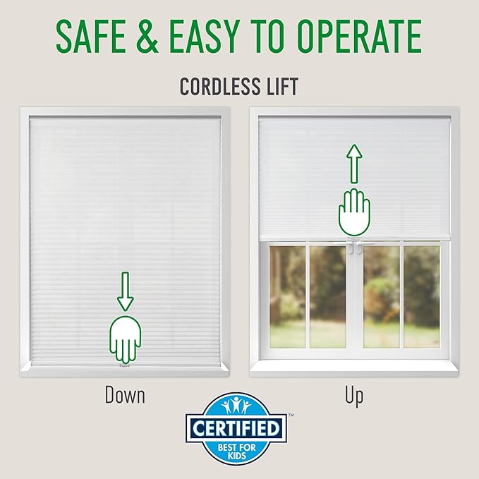 CALYX INTERIORS Cellular Honeycomb Shade, Light Filtering, Cordless, 3/8" Single Cell, 27.5" W x 60" H, White