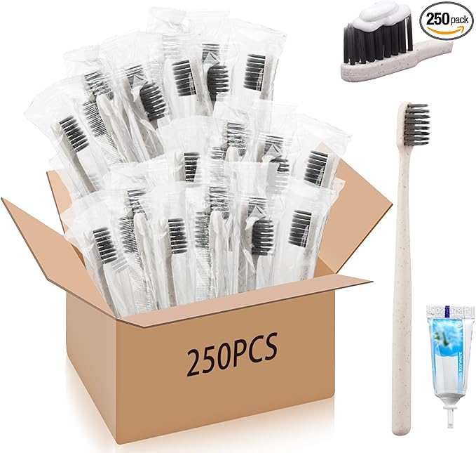 Uiifan 250 Sets Disposable Toothbrushes with Toothpaste Bulk Individually Wrapped Travel Toothbrush Kit Soft Bristle Tooth Brushes Homeless Supplies for Hotel Shelter Nursing Home Charity Donation