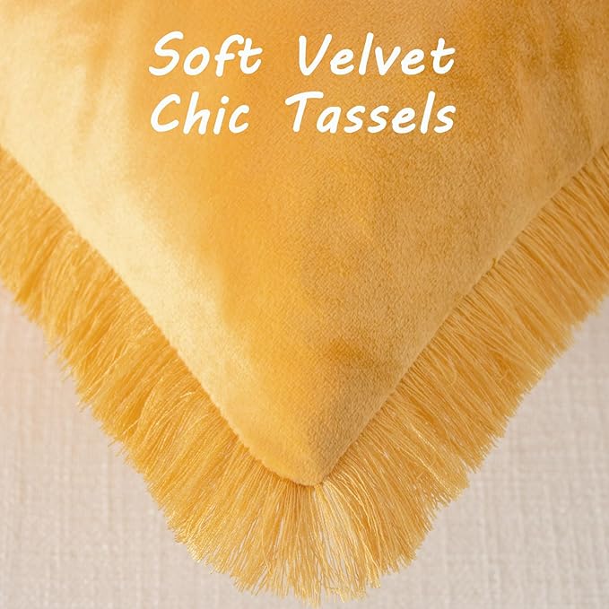 FUTEI Orange Velvet Decorative Throw Pillow Covers 20x20 Set of 2,Soft Cozy Edge with Tassels Cushion Case,Boho Modern Home Decor for Couch Bed Living Room