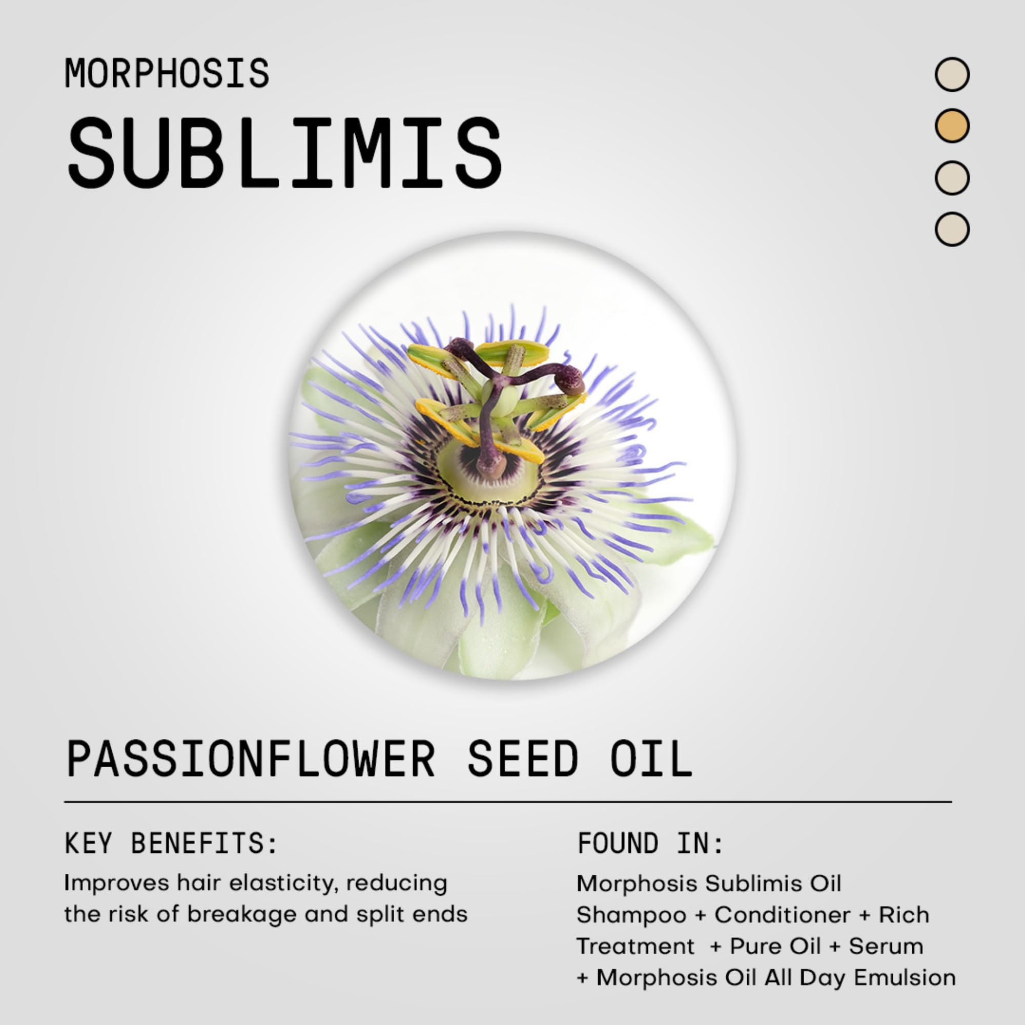FRAMESI Morphosis Sublimis Hair Oil Serum, Hydrating Hair Treatment