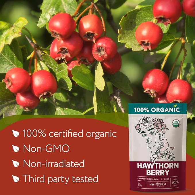 Super Large Value Pack 10 LB - Organic Hawthorn Berry Tea - Hawthorne Berries Organic - Healthy Circulation, Heart, Pressure Balance