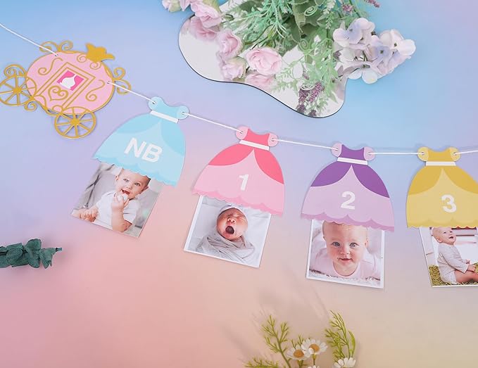 Princess 12 Month Photo Banner - Princess Birthday Party Decorations,Gril First/1st Party Bunting,Photo Prop Banner (Princess-2)