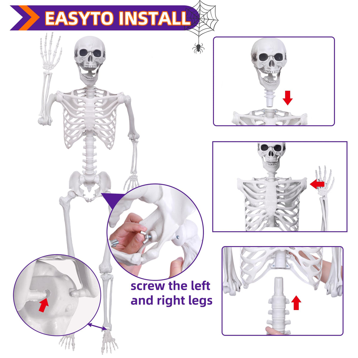 IDMOP 5.4Ft Halloween Skeleton - Life Size Full Body Realistic Human Bones with Posable Joints for Halloween Pose Skeleton Prop Decoration