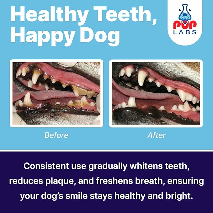 ProDenta, Dog Teeth Cleaning and Dog Breath Freshener, Natural Powder for Plaque, Tartar, and Gum Support Made in USA, 3-Pack (90 Scoops)