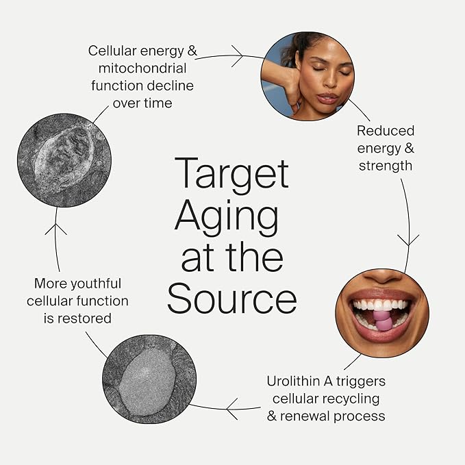 Timeline Mitopure Urolithin A Supplement Gummies - Clinically Proven Support for Healthy Aging and Cellular Renewal - Mitoceutical for Muscle Strength and Longevity