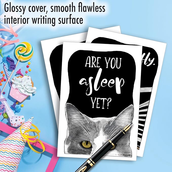 NobleWorks, Assortment Pack of 3 Funny Birthday Greeting Cards with Envelopes (3 Designs, 1 Each) Cat Antics Celebration VC10793BDG-C1x3