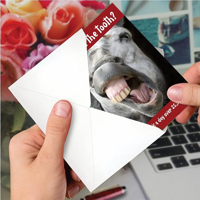 NobleWorks Funny 70th Birthday Milestone Greeting Card with 5 x 7 Inch Envelope (1 Card) Horse Teeth-70 C10250MBG