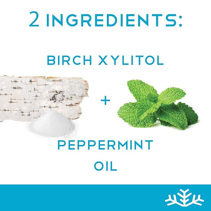 Mint Assortment KETO Xylitol Candy Chips (6-Pack) - SNØ 1.5oz Tin - Sugar-Free Candy With Only 2 Ingredients | Low Carbs, Diabetic-Friendly, Non-GMO, Vegan, GF & Kosher | Purest candy in the world!