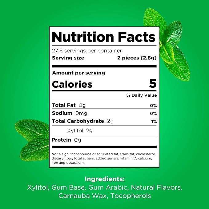 PUR Gum | Aspartame Free Chewing Gum | 100% Xylitol | Natural Spearmint Flavored Gum, 55 Pieces (Pack of 12)