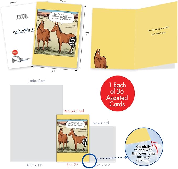 NobleWorks - 36 Assorted Set Funny Mixed Occasions Cards Bulk Box Set Envelopes, Humor B-day, Get Well, Friendship Greeting Card (36 Designs, 1 Each) - A Coverly Combo AC9383XXG-B1x36