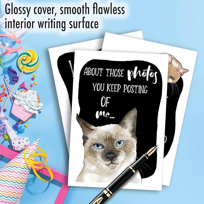 NobleWorks, Assortment Pack of 3 Funny Birthday Greeting Cards with Envelopes (3 Designs, 1 Each) Cat Antics Party VC10794BDG-C1x3