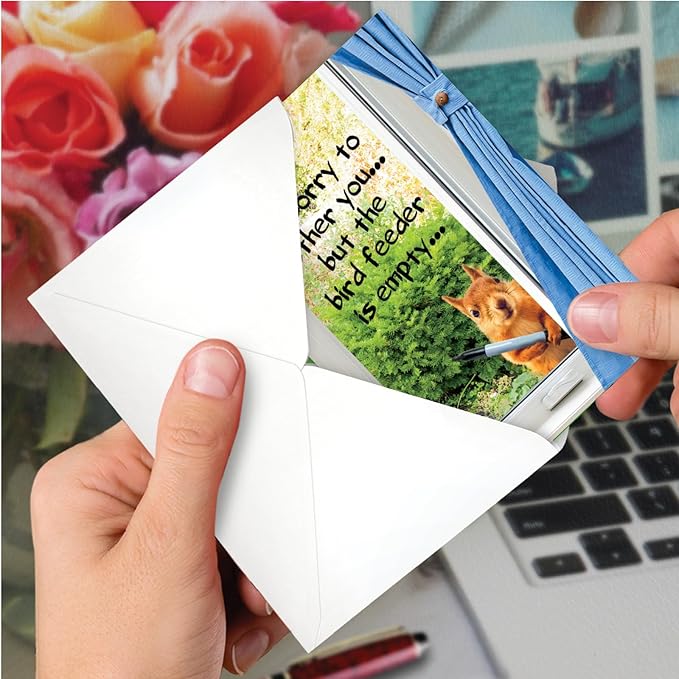 NobleWorks Pack of 3 Funny Birthday Greeting Cards with Envelopes (1 Design, 3 Each) Empty Bird Feeder C2561BDG-C3x1