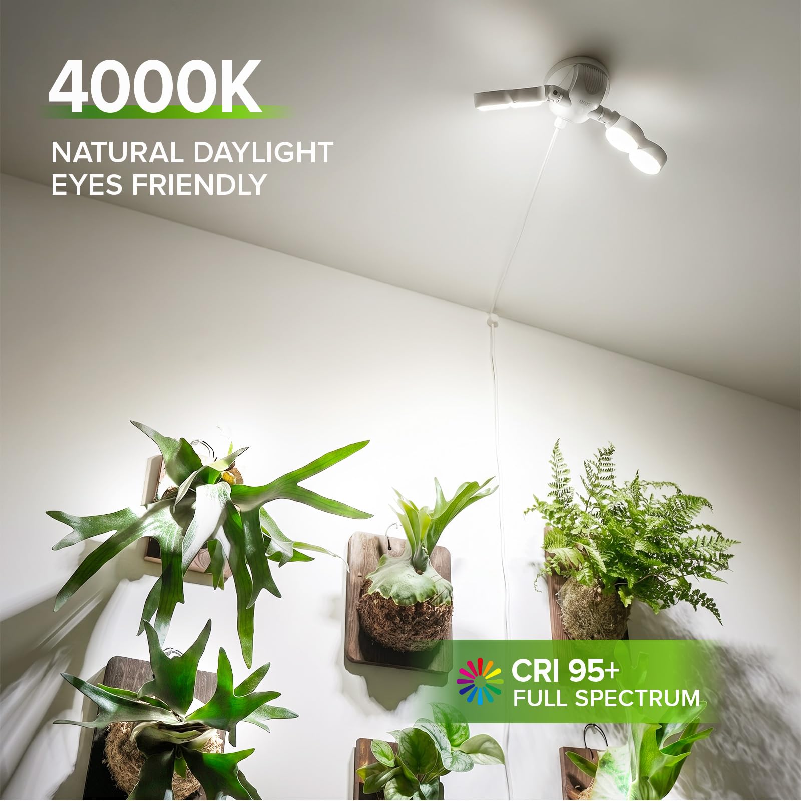 SANSI Wall Mounted Grow Light, 30W Dual Head Full Spectrum with Remote