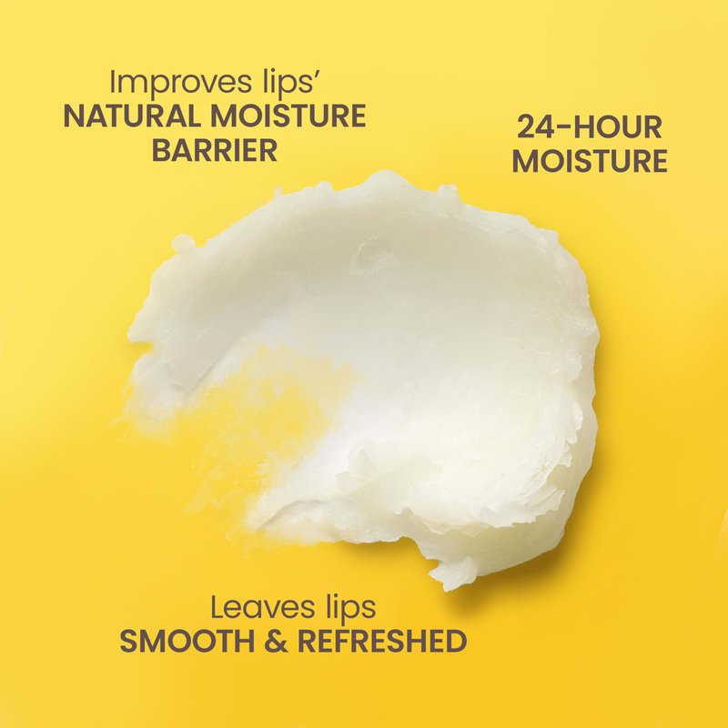 Burt's Bees Lip Balm, Beeswax Bounty, Classic, 4-Pack, 0.15 Oz