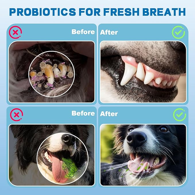 Dog Breath Freshener-Enzymatic Dog Dental Water Additive for Dental Care–Probiotics Prevent Bad Breath, Relieve Gum Redness, Reduce Plaque & Tartar, No Brushing Needed, Safe for Dogs & Cats, 8.45oz