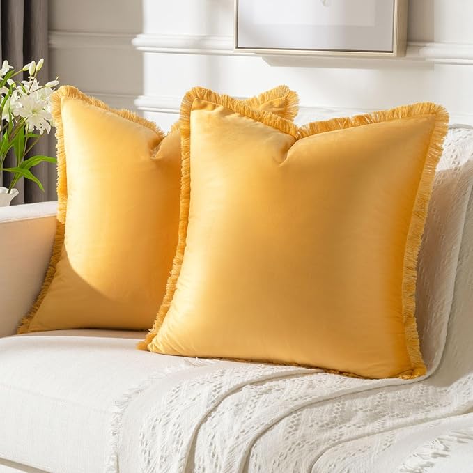 FUTEI Orange Velvet Decorative Throw Pillow Covers 20x20 Set of 2,Soft Cozy Edge with Tassels Cushion Case,Boho Modern Home Decor for Couch Bed Living Room