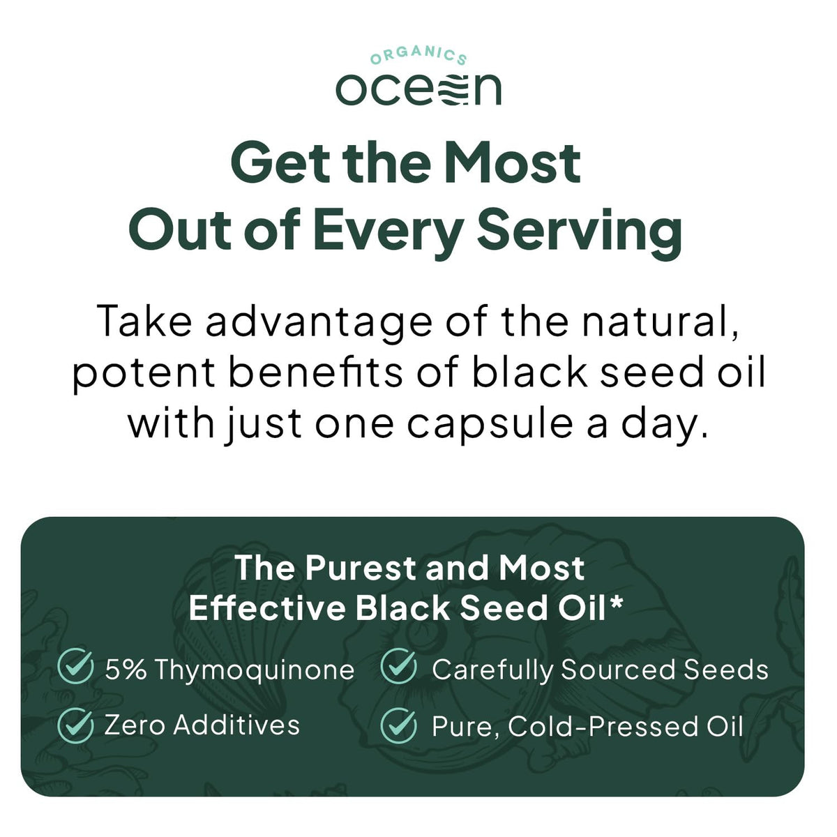 Organics Ocean Better Black Seed Oil Cold Pressed - Pure Nigella Sativa Oil for Immune Support - 5% Thymoquinone - Support Memory, Vitality, and Cellular Health - 6 Pack Bulk Supply
