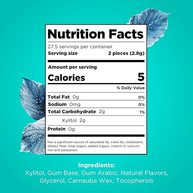PUR Gum | Aspartame Free Chewing Gum | 100% Xylitol | Natural Wintergreen Flavored Gum, 55 Pieces (Pack of 6)