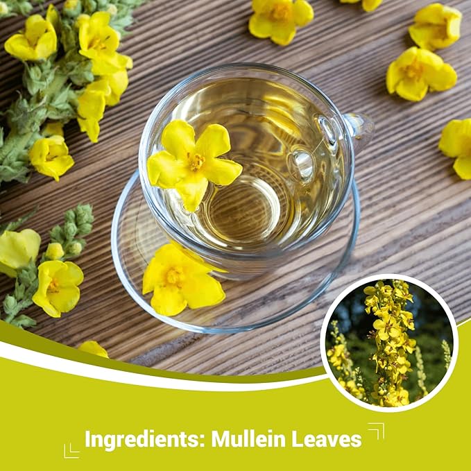Mullein Leaf Herbal Tea - Caffeine Free, 80 Teabags