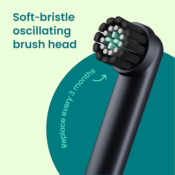 Quip Rev 360 Oscillating Rechargeable Electric Toothbrush with Extra Brush Head - Soft Bristles, Pressure Sensor, 3 Intensities, 30-Day Battery, 2-Min Timer, Travel Case, Mirror Mount - Blue Stone