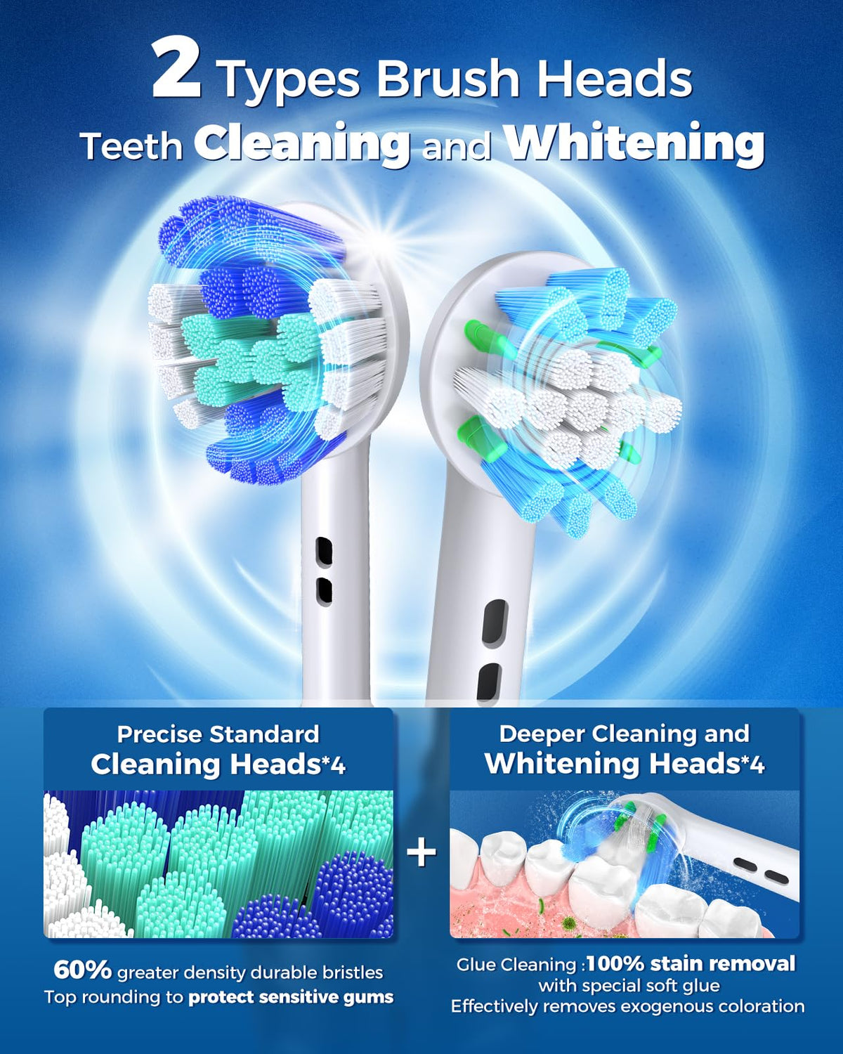 TEETHEORY Rotating Electric Toothbrush for Adults with 8 Brush Heads (2 Types), 4 Modes Deep Clean Electric Toothbrush with Rechargeable Power and 2 Min Smart Timer Purple